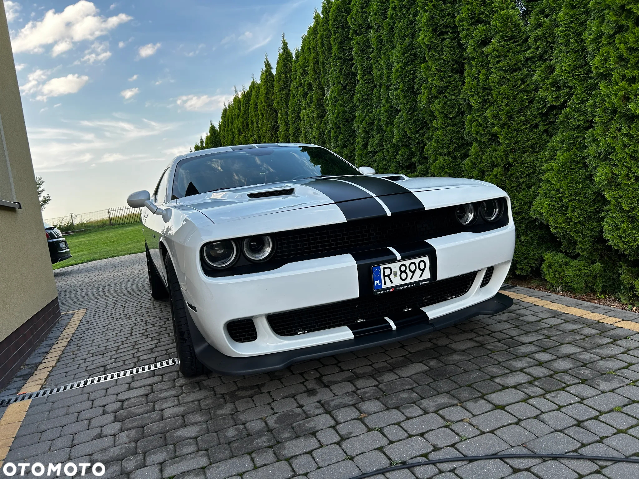 Dodge Challenger Automatik R/T Plus - 8
