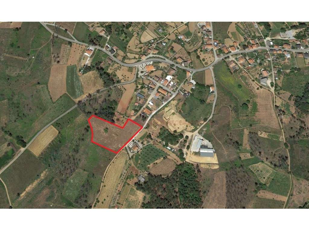 Terreno para construção na Folgosa da Madalena - Grande imagem: 2/7