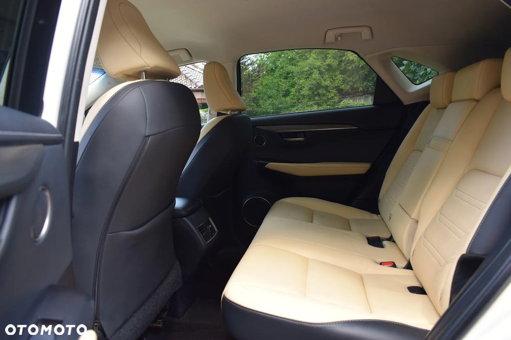 Lexus NX 300h Prestige AWD - 7