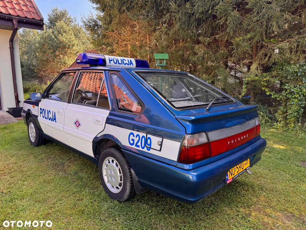 Polonez Caro - 11