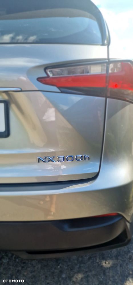 Lexus NX 300h Elite AWD - 21