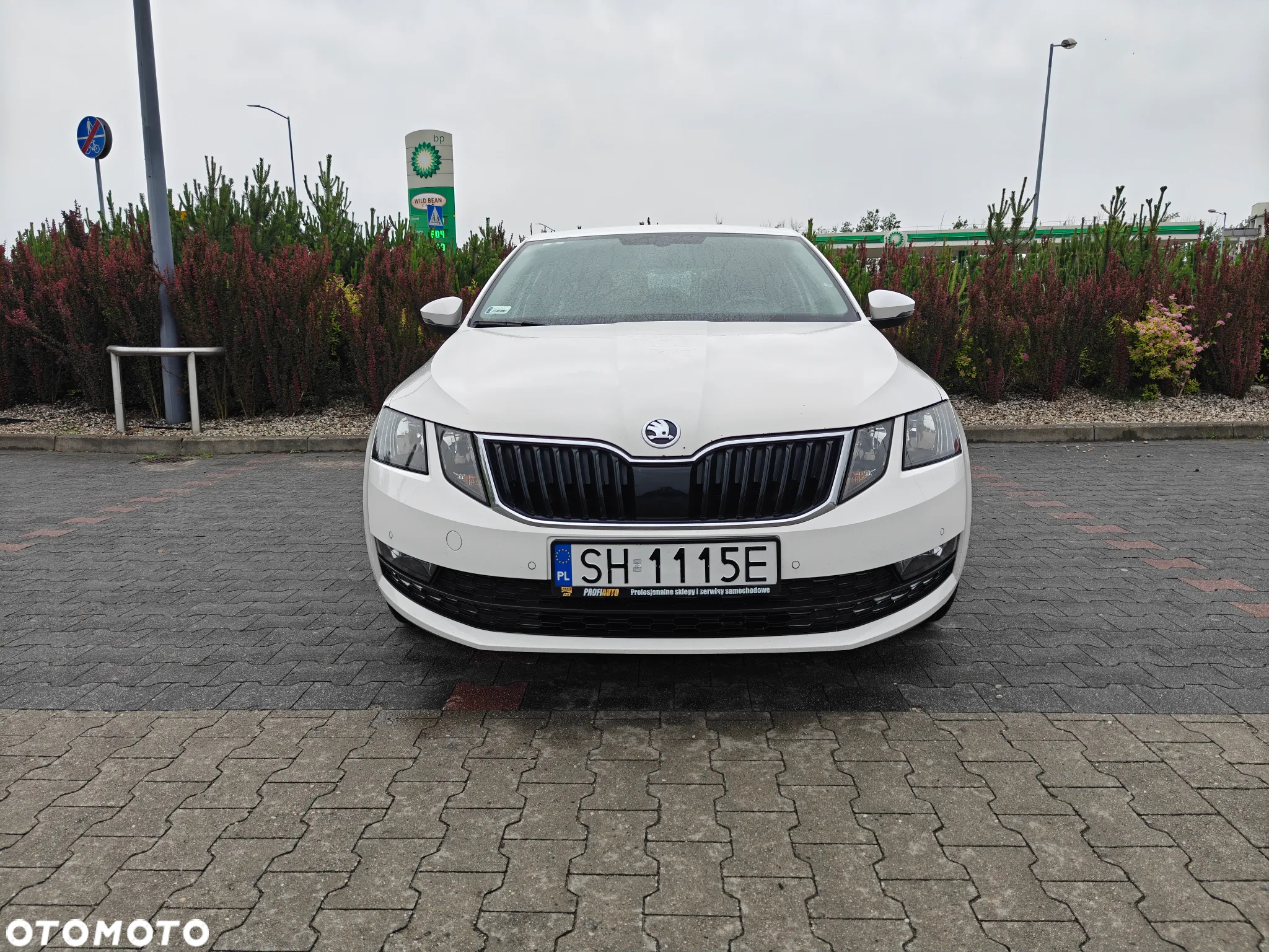 Skoda Octavia 1.6 TDI Ambition - 24
