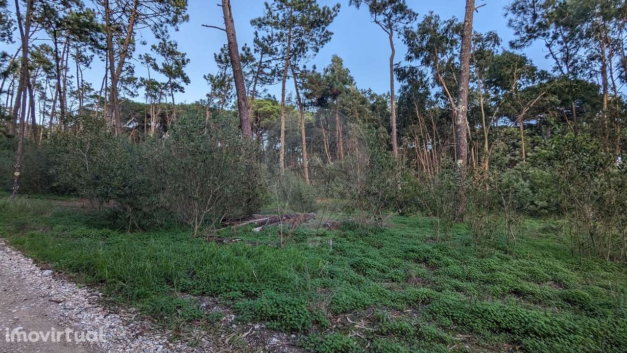 Terreno  para venda - Grande imagem: 4/19