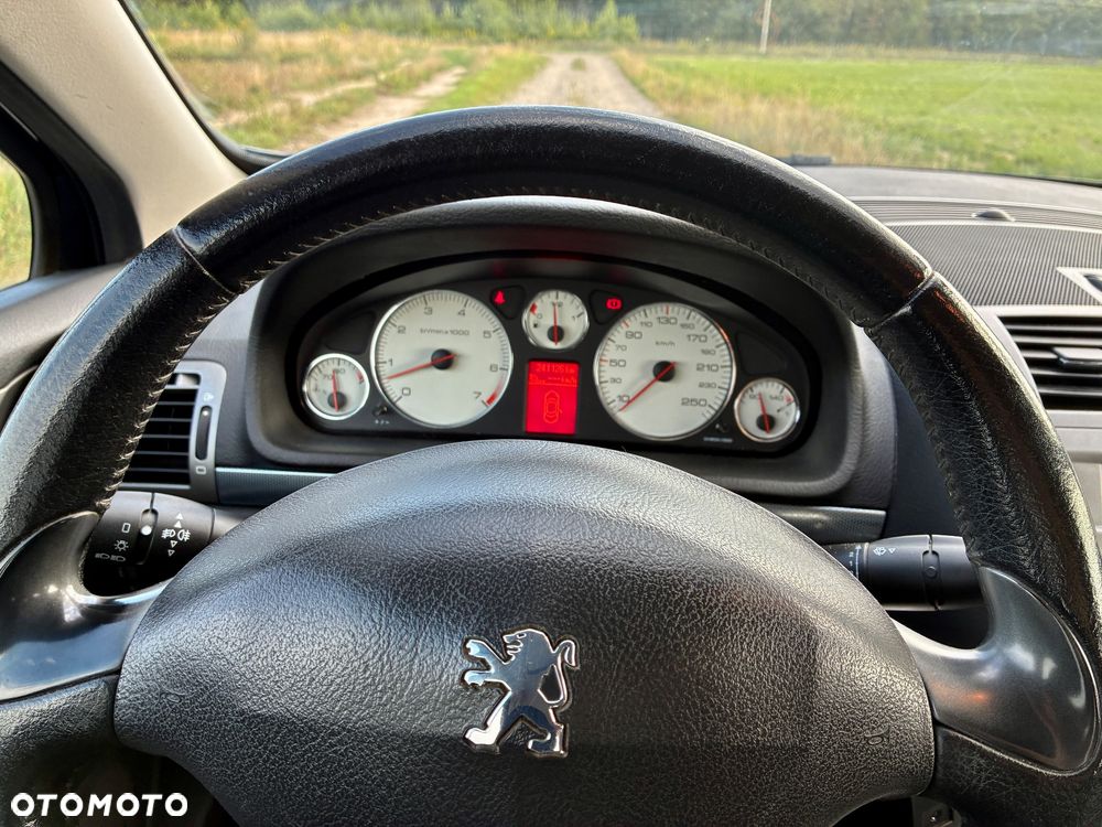 Peugeot 407 140 Sport - 29