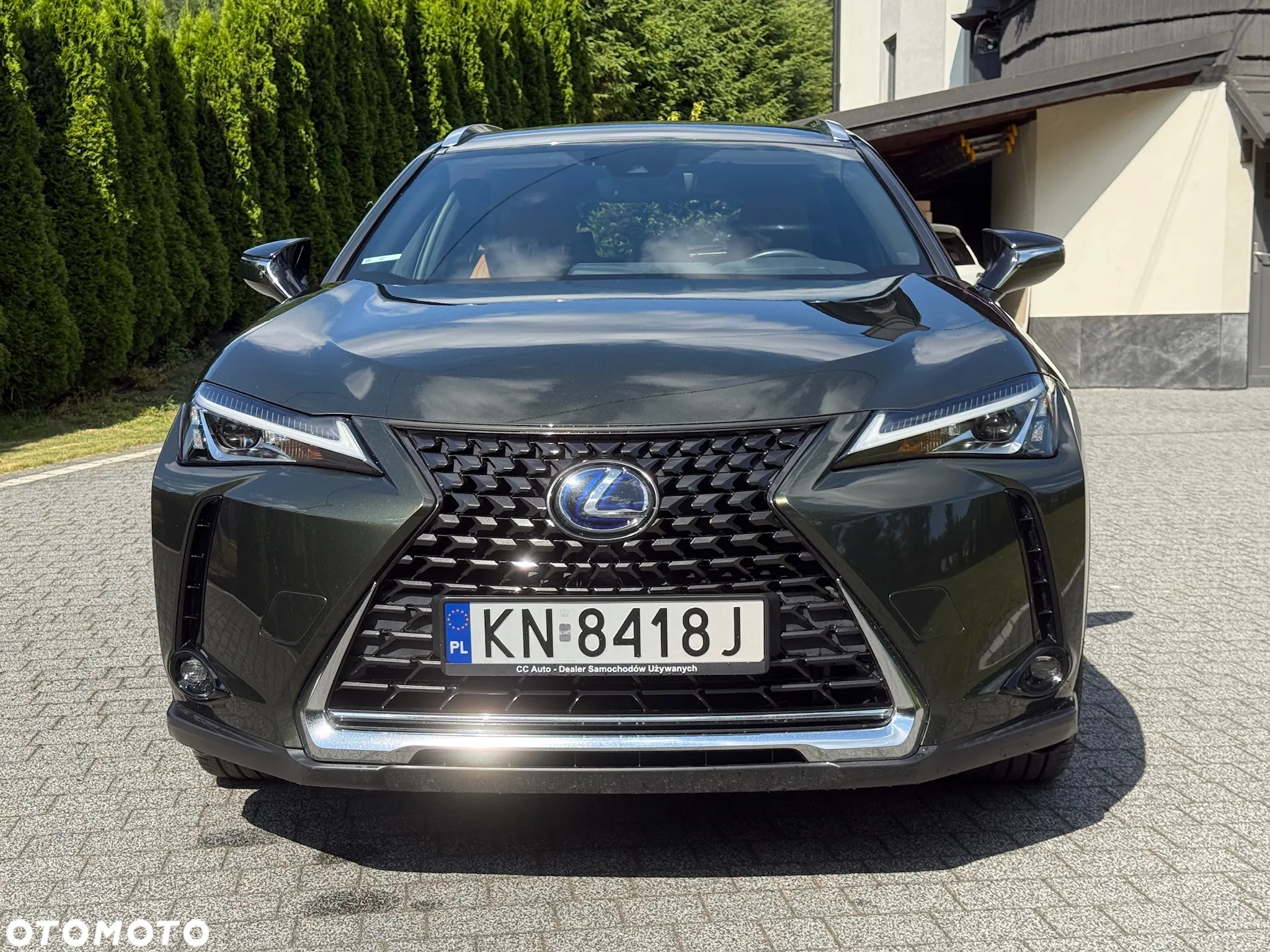 Lexus UX 250h (E-FOUR) Executive Line - 19
