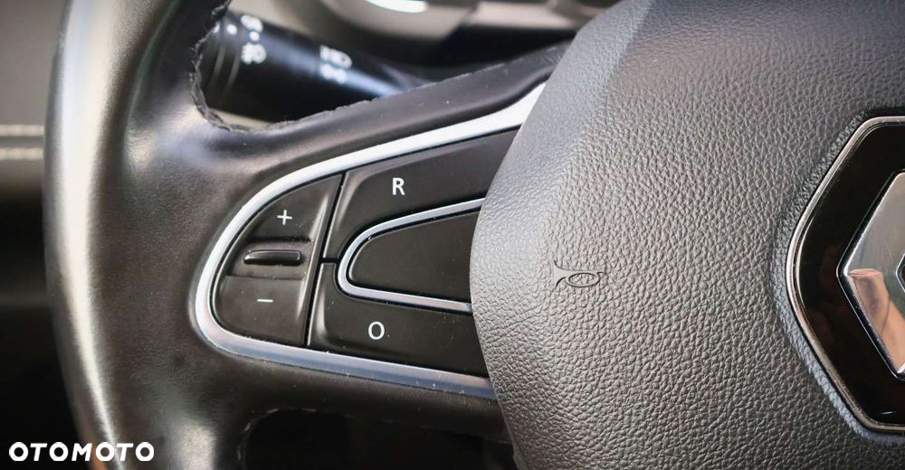 Renault Scenic - 14