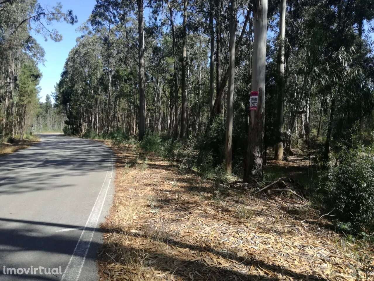 Terreno Rústico em Avanca, Aveiro - Grande imagem: 4/6