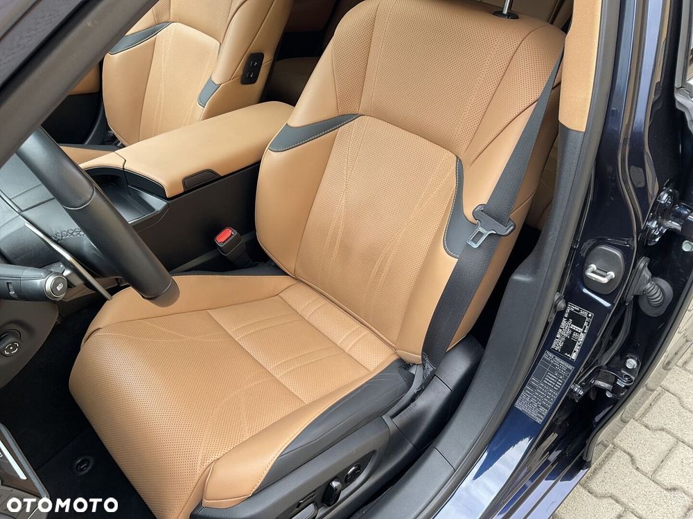 Lexus ES 300h Omotenashi - 20