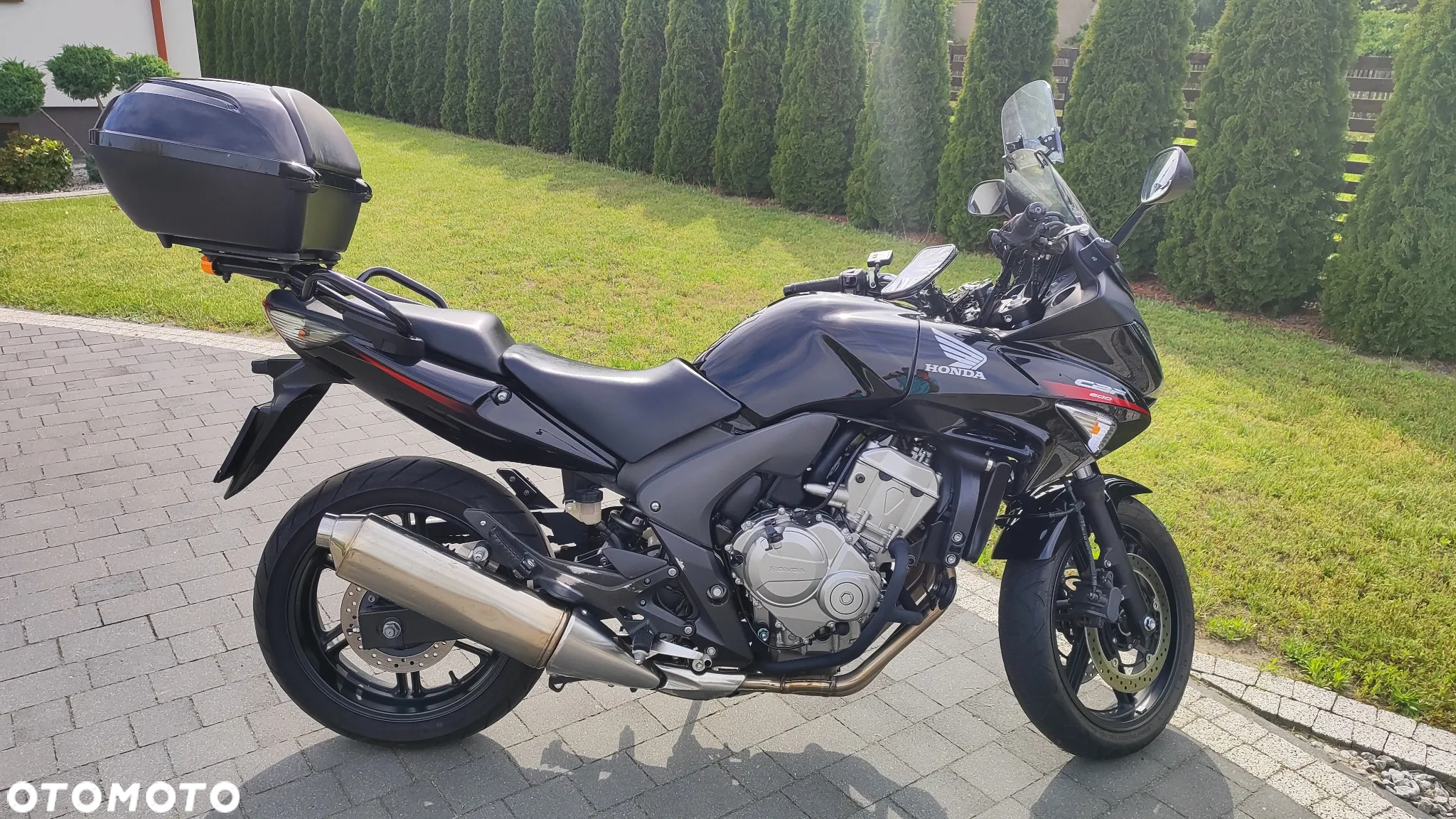 Honda CBF - 19