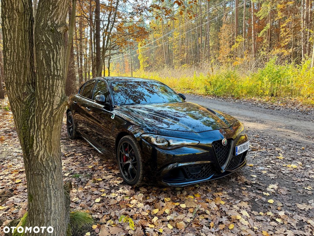 Alfa Romeo Giulia 2.9 V6 Bi-Turbo AT8 Quadrifoglio - 14