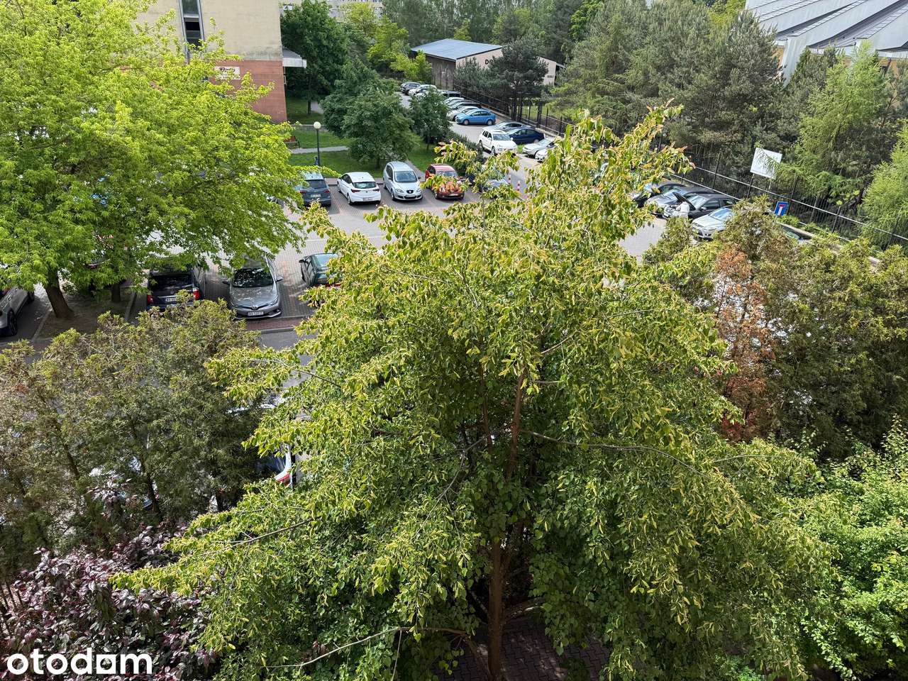Gotowe do najmu! Komfortowe 55m2 - 2 pokoje , balkon, cicha okolica.