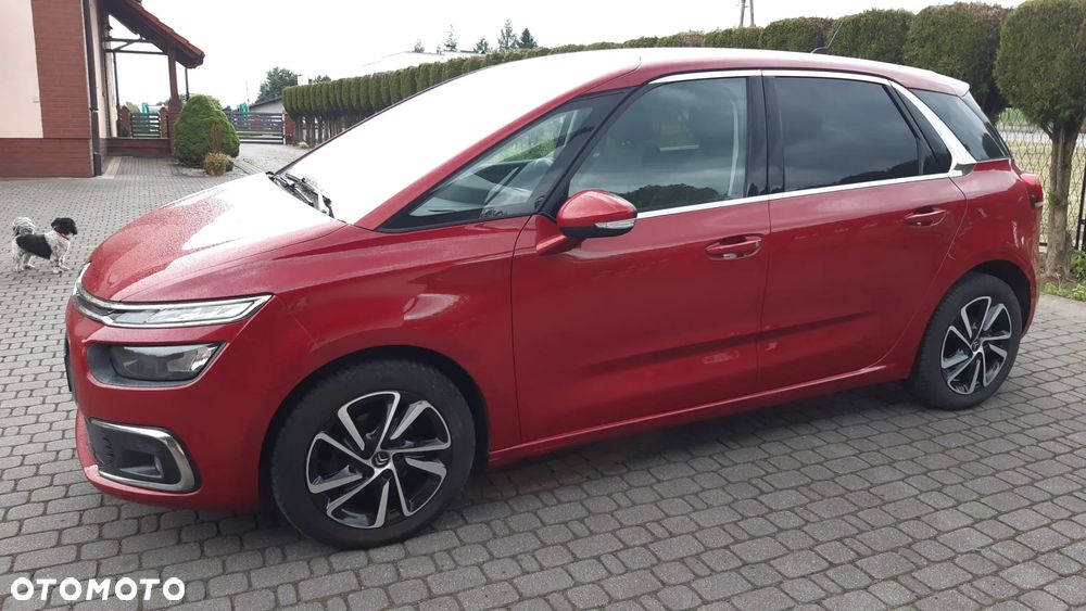 Citroën C4 - 31