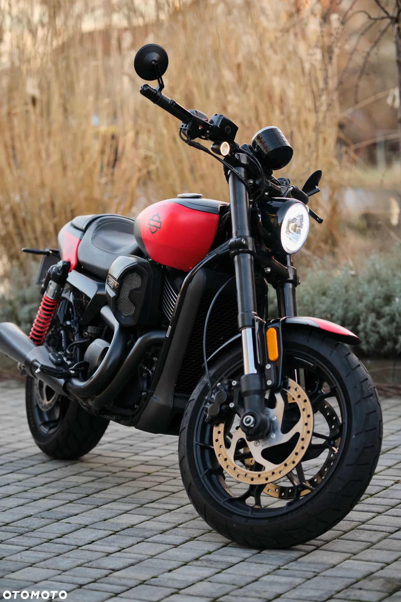 Harley-Davidson Street Rod XG 750A - 2