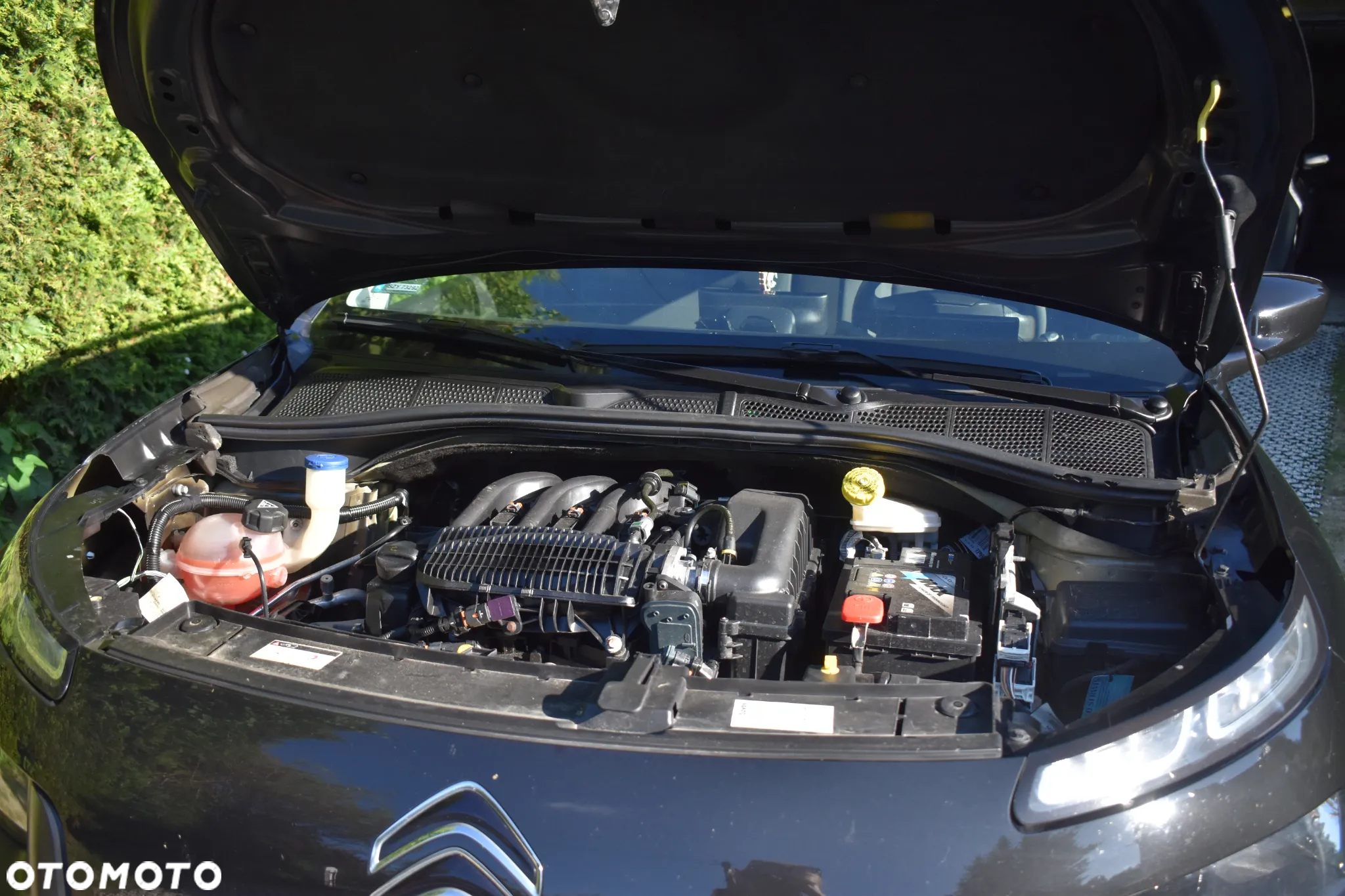 Citroën C4 Cactus 1.2 PureTech Shine - 16