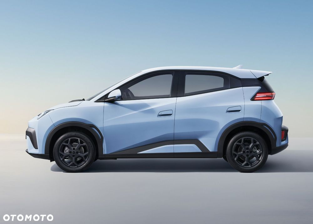 BYD Dolphin Surf - 12