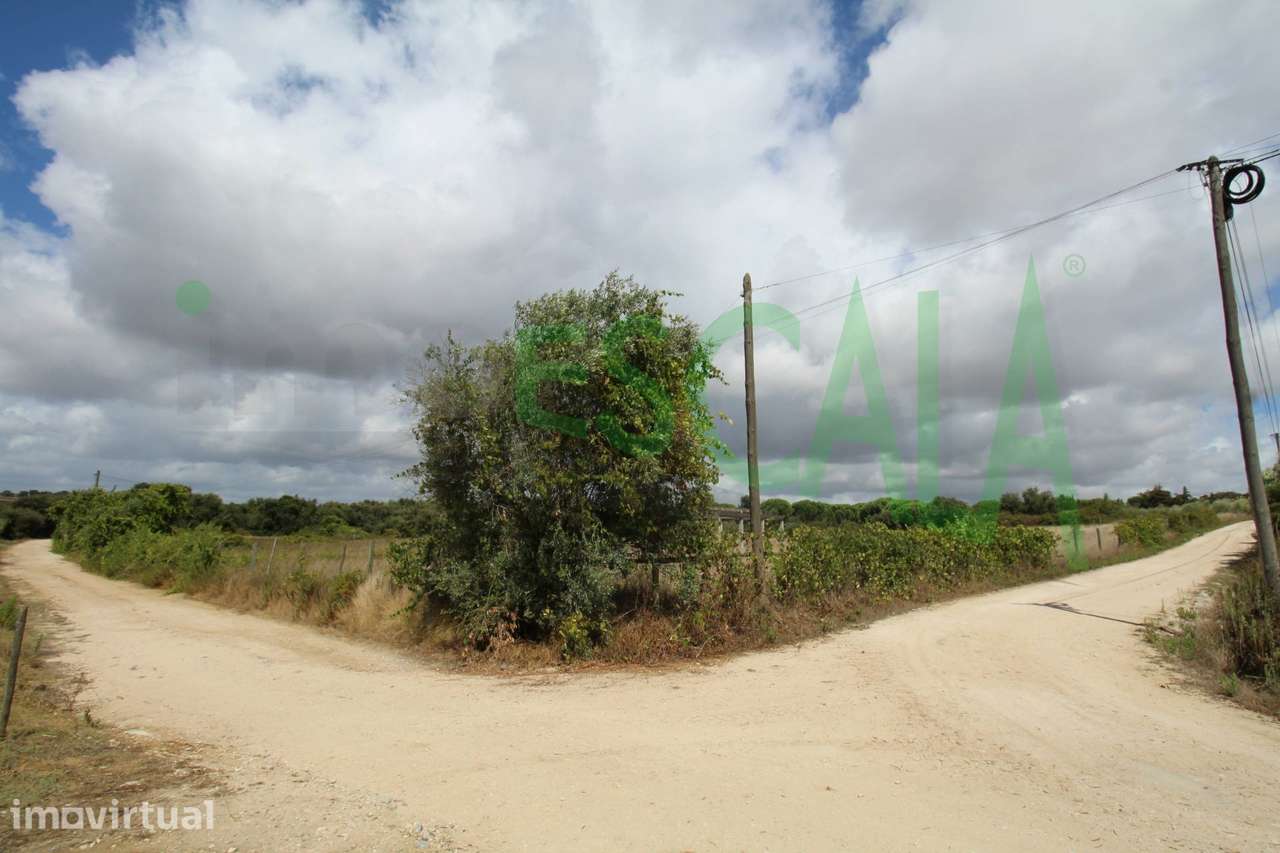 Terreno para construção de Quinta no Ribatejo - Grande imagem: 4/54