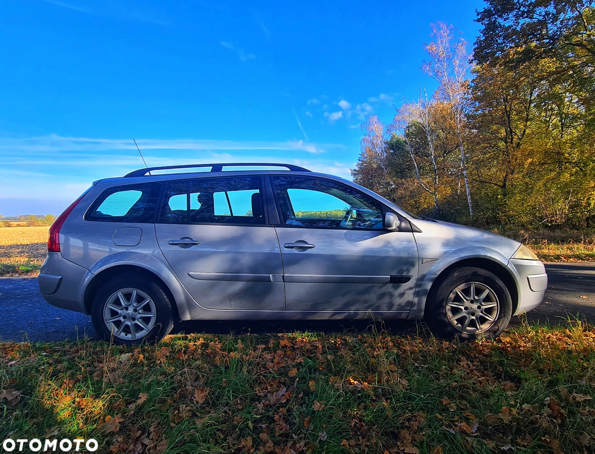 Renault Megane 1.6 Confort Dynamique - 2