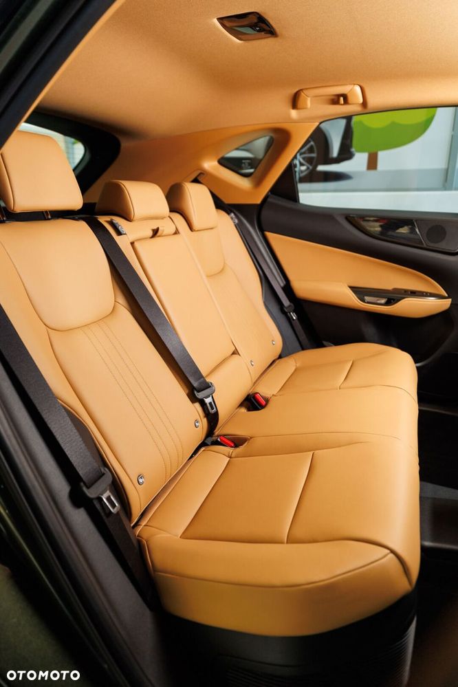 Lexus NX - 20