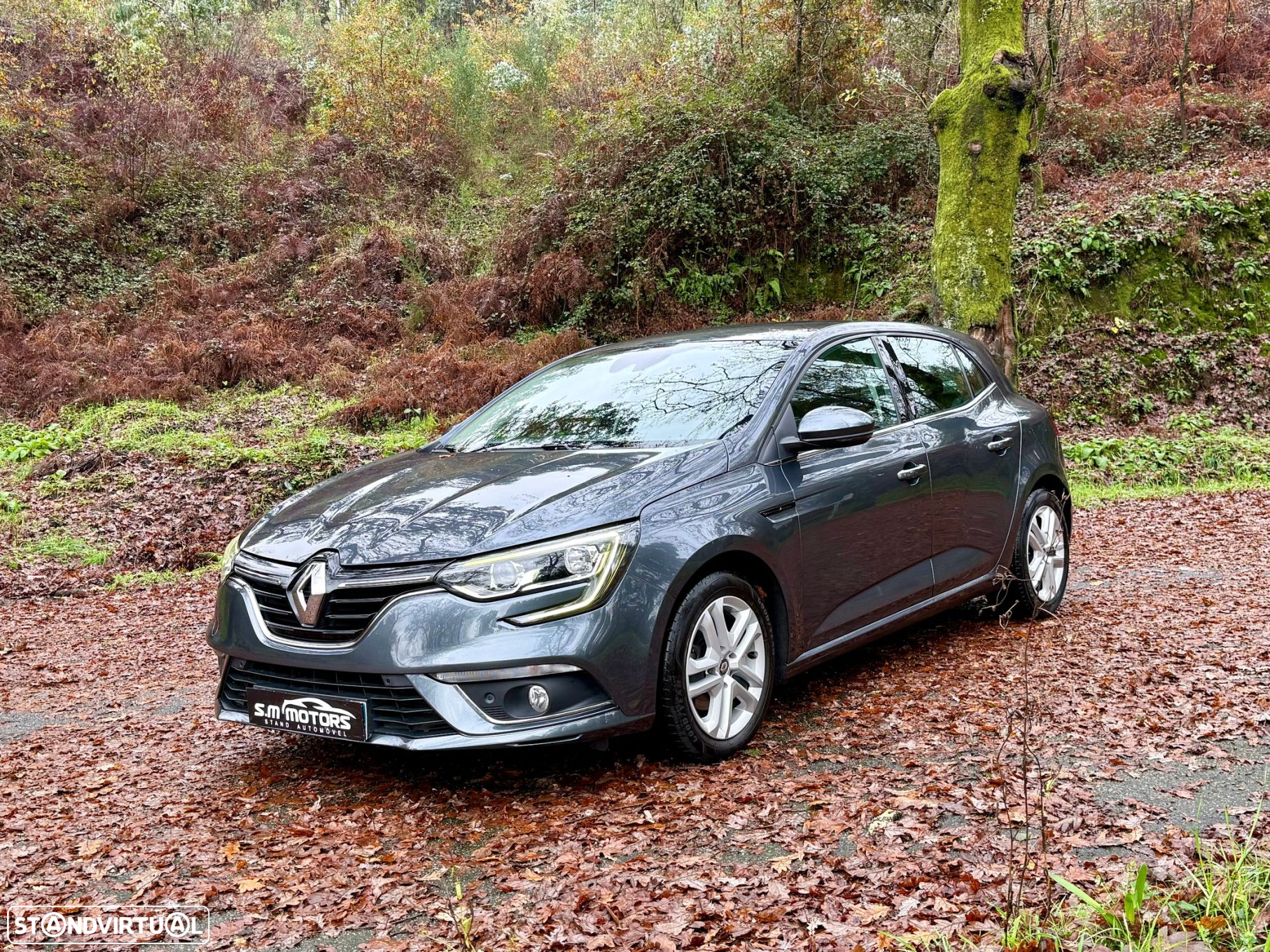 Renault Mégane BLUE dCi 115 ZEN - 9