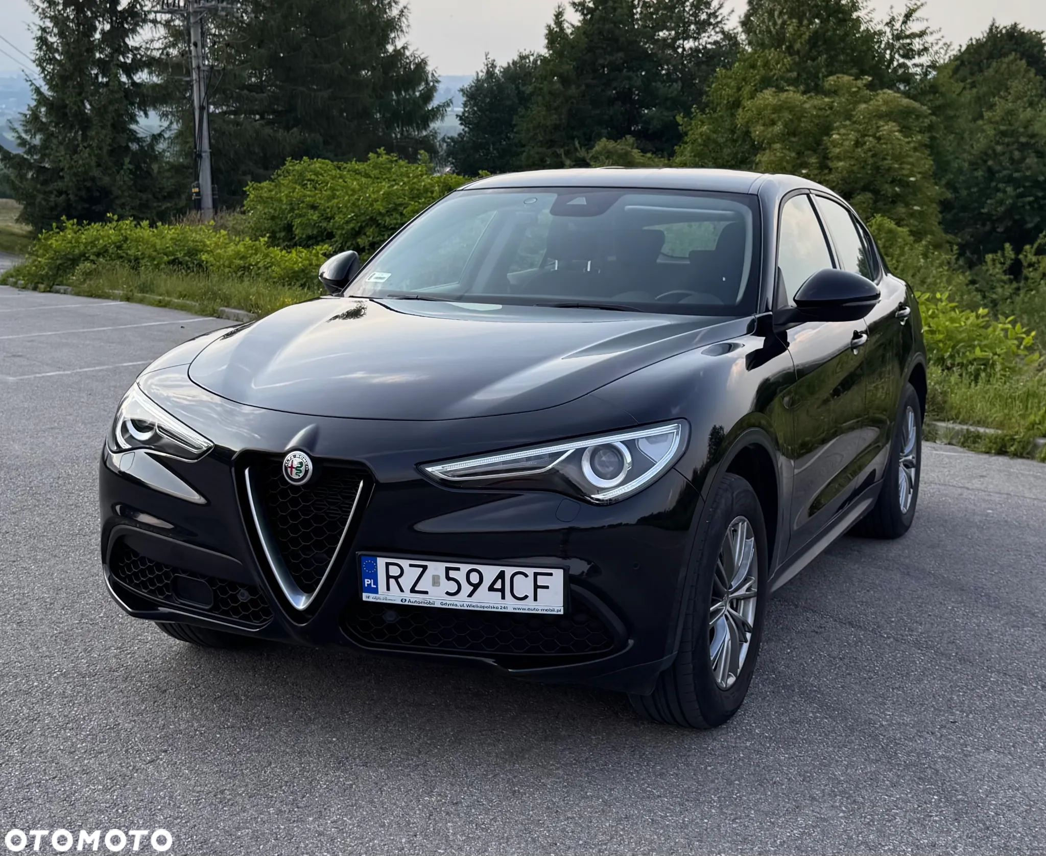 Alfa Romeo Stelvio 2.0 Turbo Business Q4 - 1