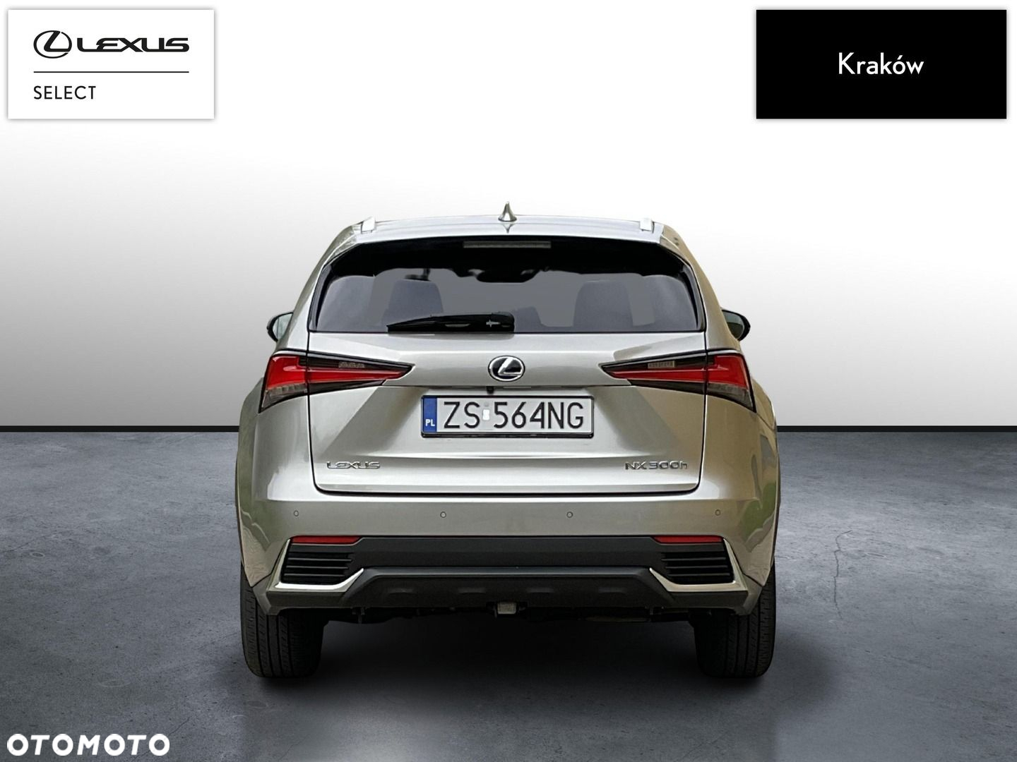 Lexus NX 300h F Impression AWD - 4