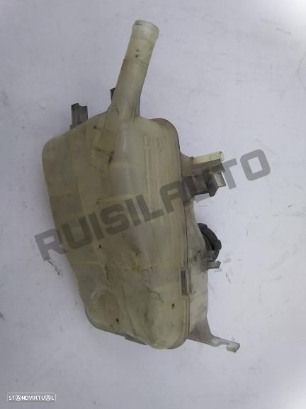 Depósito / Vaso Agua Radiador 2171_00005r Renault Megane Iii Co - 2