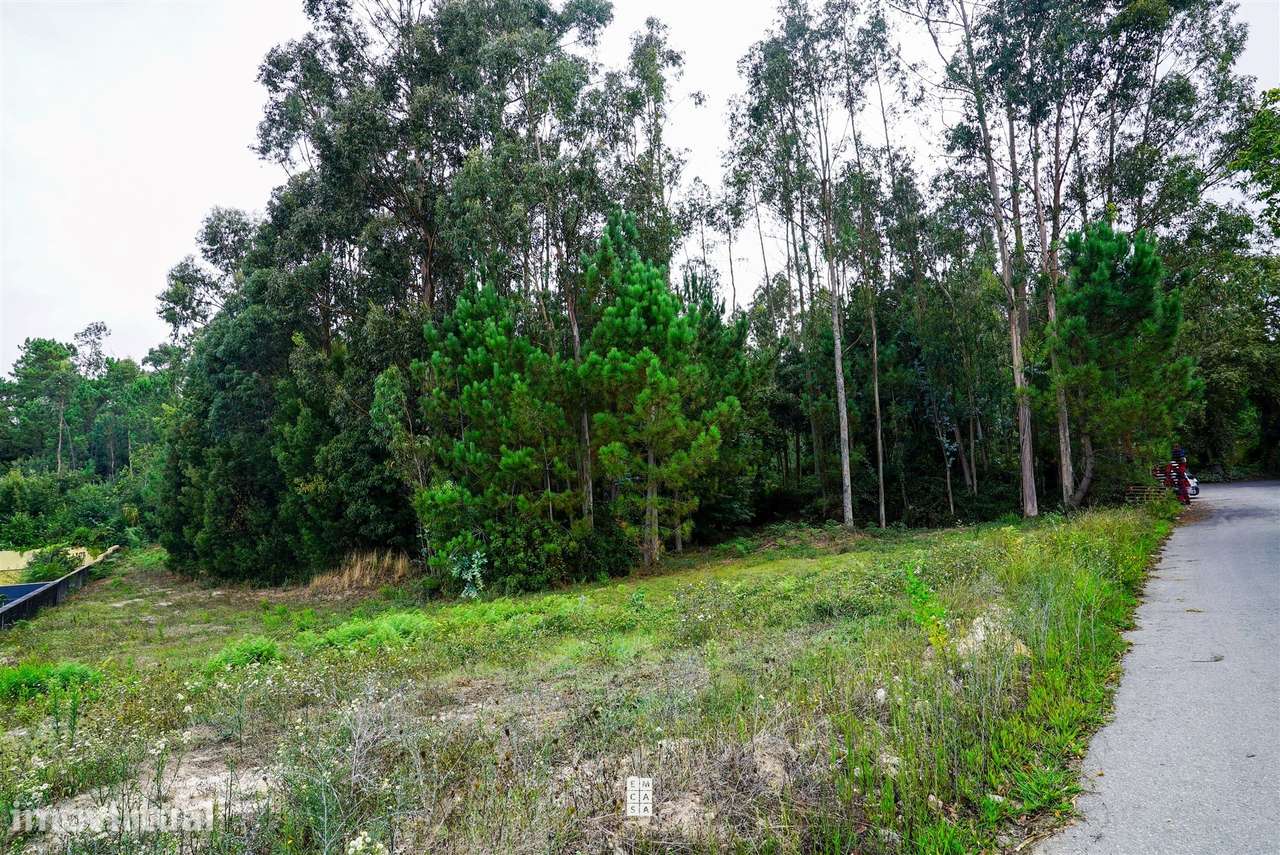 Terreno  Venda em São Miguel do Souto e Mosteirô,Santa Maria da Feira - Grande imagem: 3/5