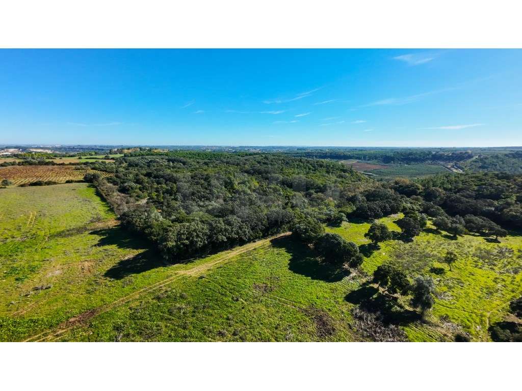Terreno Rústico para venda em Alforgemel, Almoster - Grande imagem: 3/20