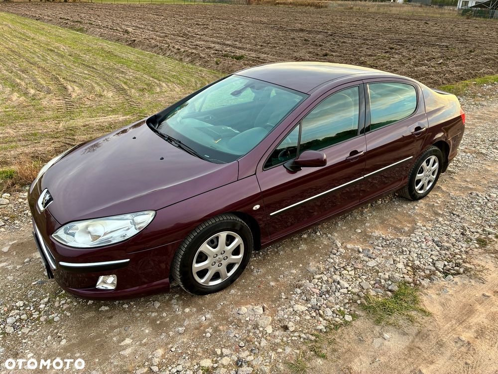Peugeot 407 - 14