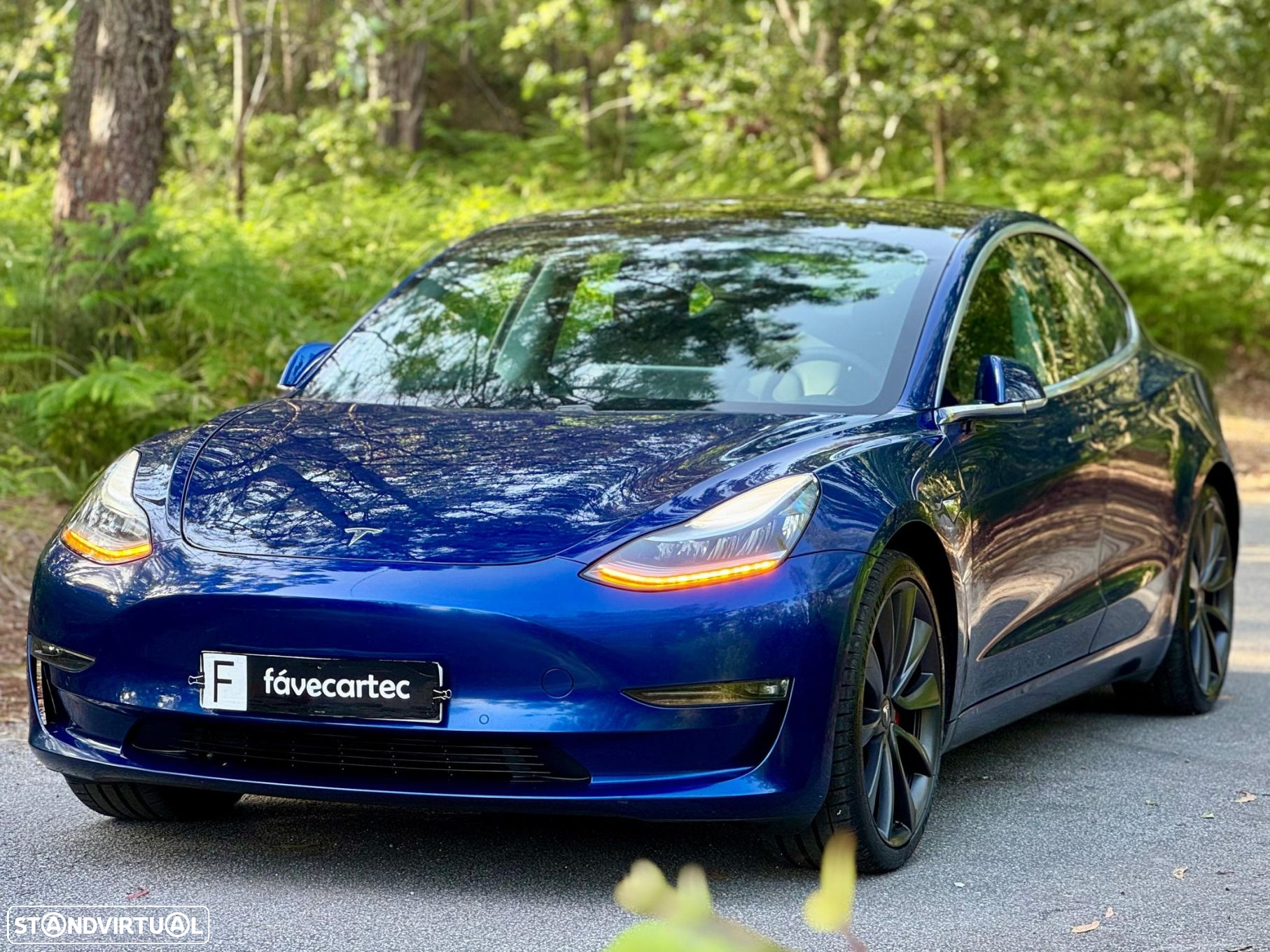 Tesla Model 3 Performance Dual Motor AWD - 17