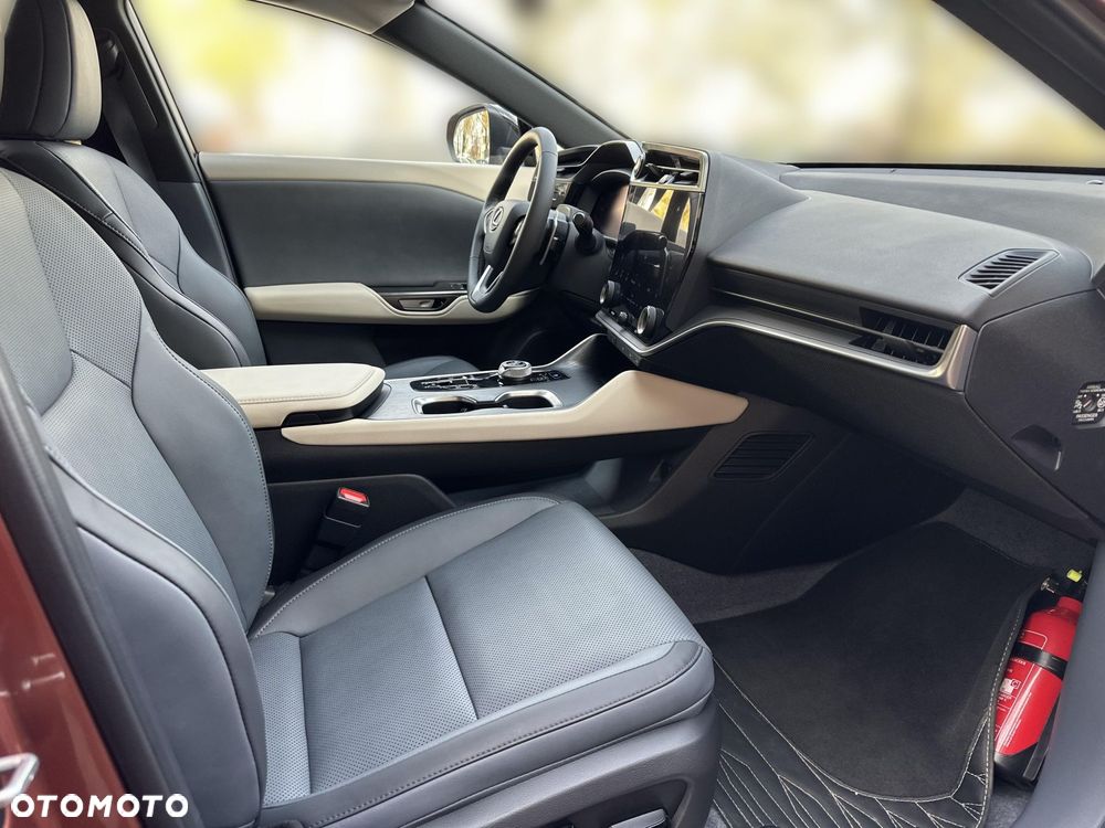 Lexus RZ 300e Prestige - 19