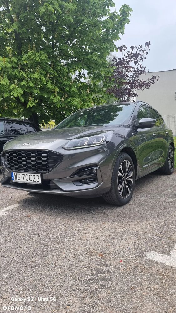 Ford Kuga 2.0 EcoBlue AWD ST-Line X - 5