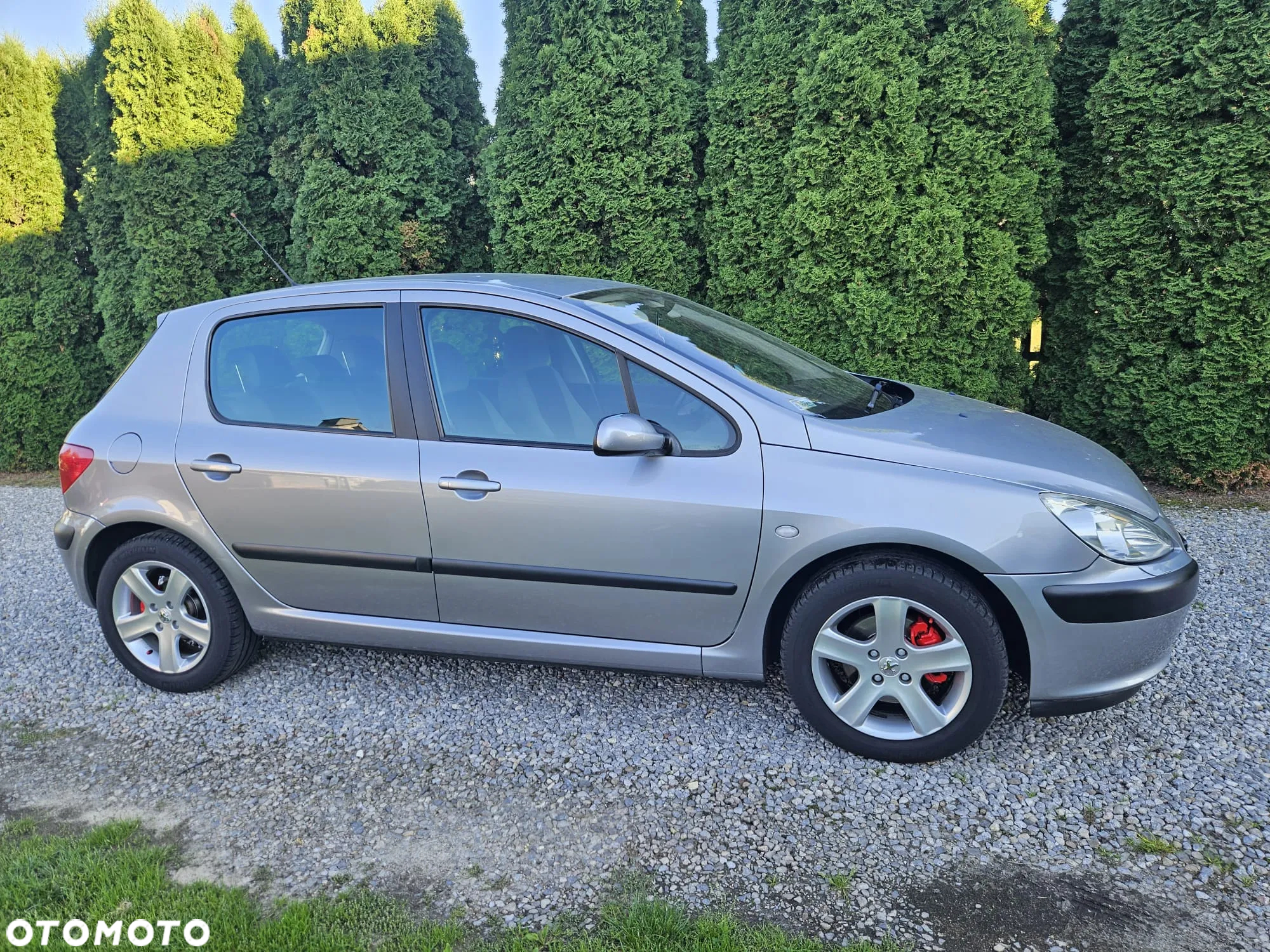 Peugeot 307 2.0 - 10