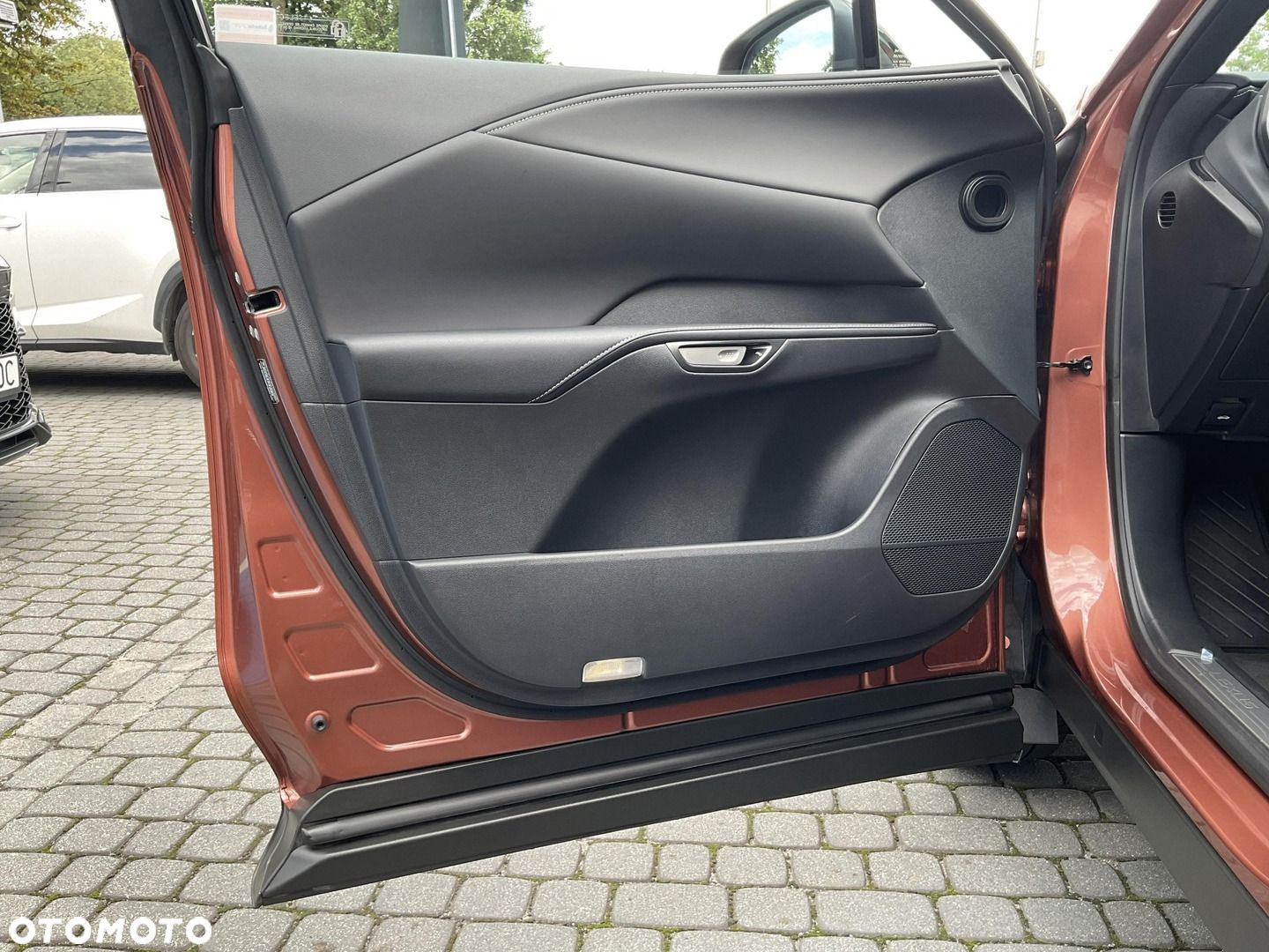 Lexus RX - 33