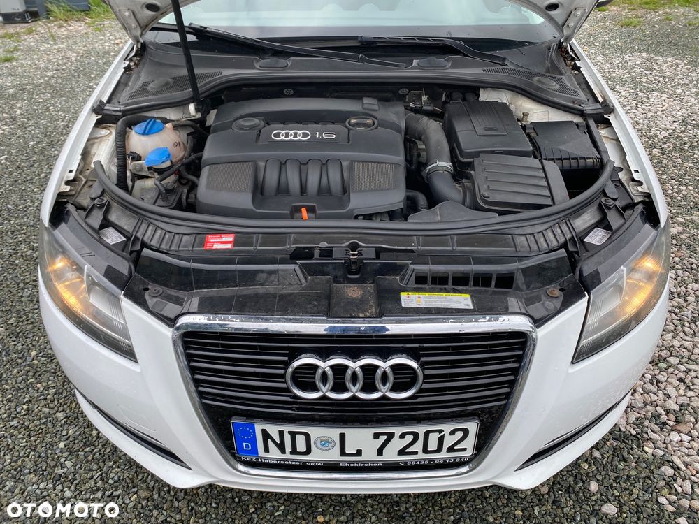 Audi A3 Sportback 1.6 Attraction - 18