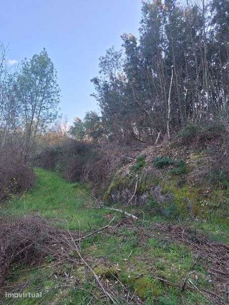 Terreno em Oliveira do Hospital 7800m²  beira rio. - Grande imagem: 3/5