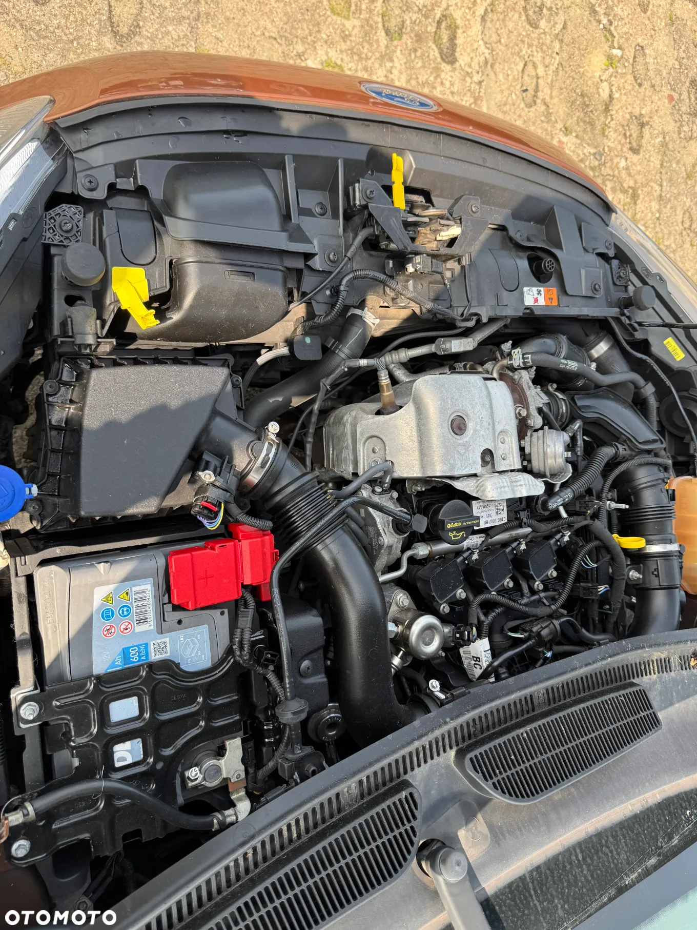 Ford Fiesta - 25