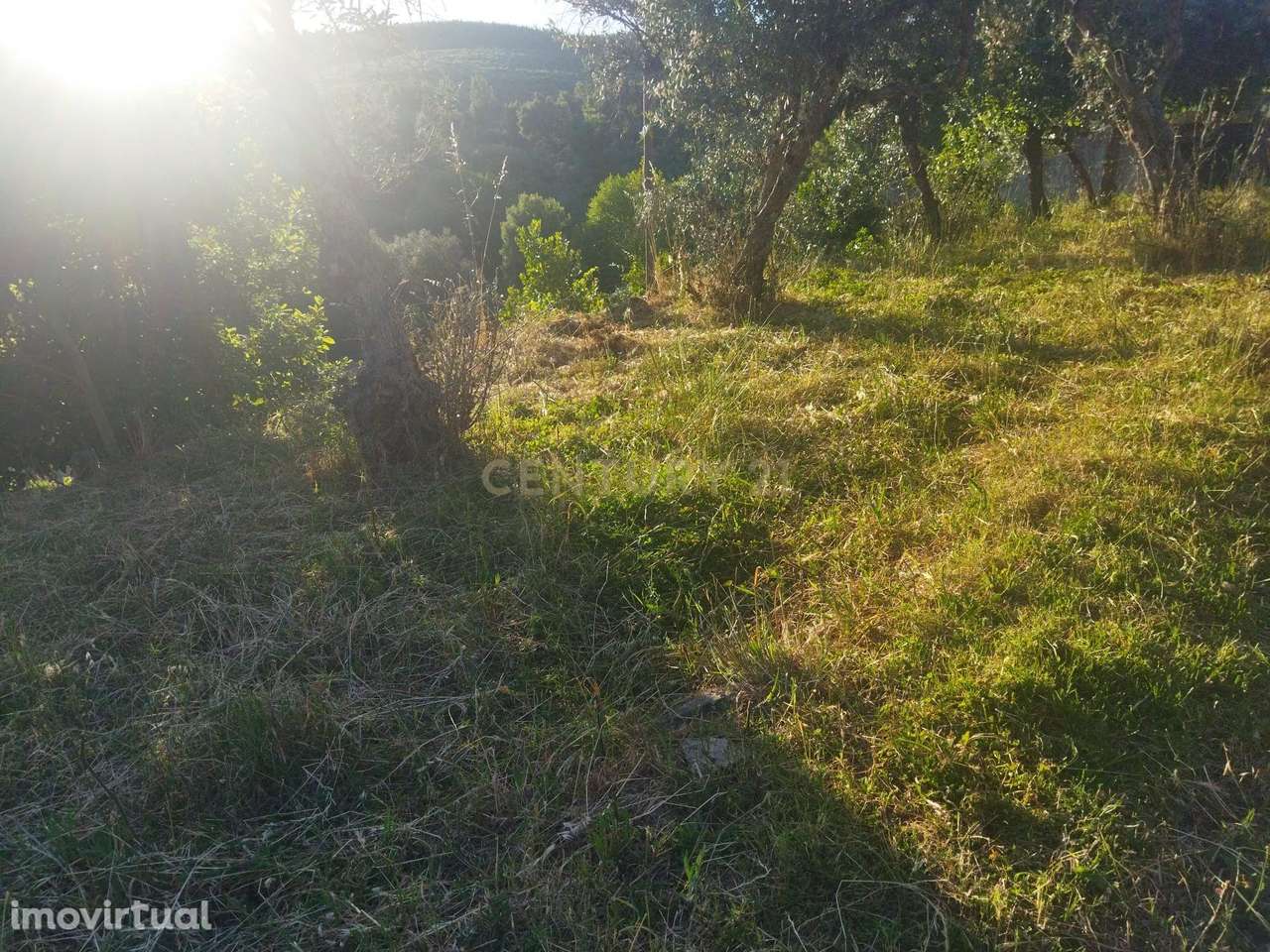 Terreno rústico | São Vicente da Beira, Castelo Branco - Grande imagem: 2/11
