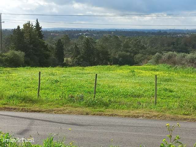 Oportunidade Única: Terreno Urbanizável na Tranquilidade da Lezíria do - Grande imagem: 4/6