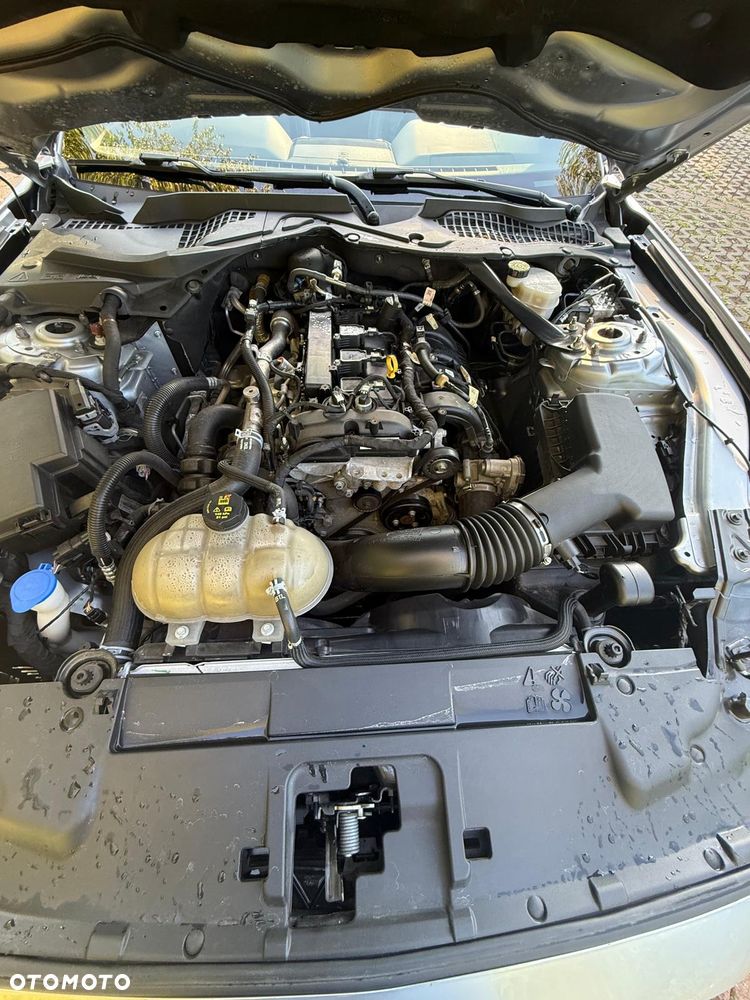 Ford Mustang - 28