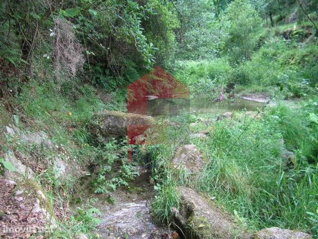 Terreno, Valdreu - Grande imagem: 2/14