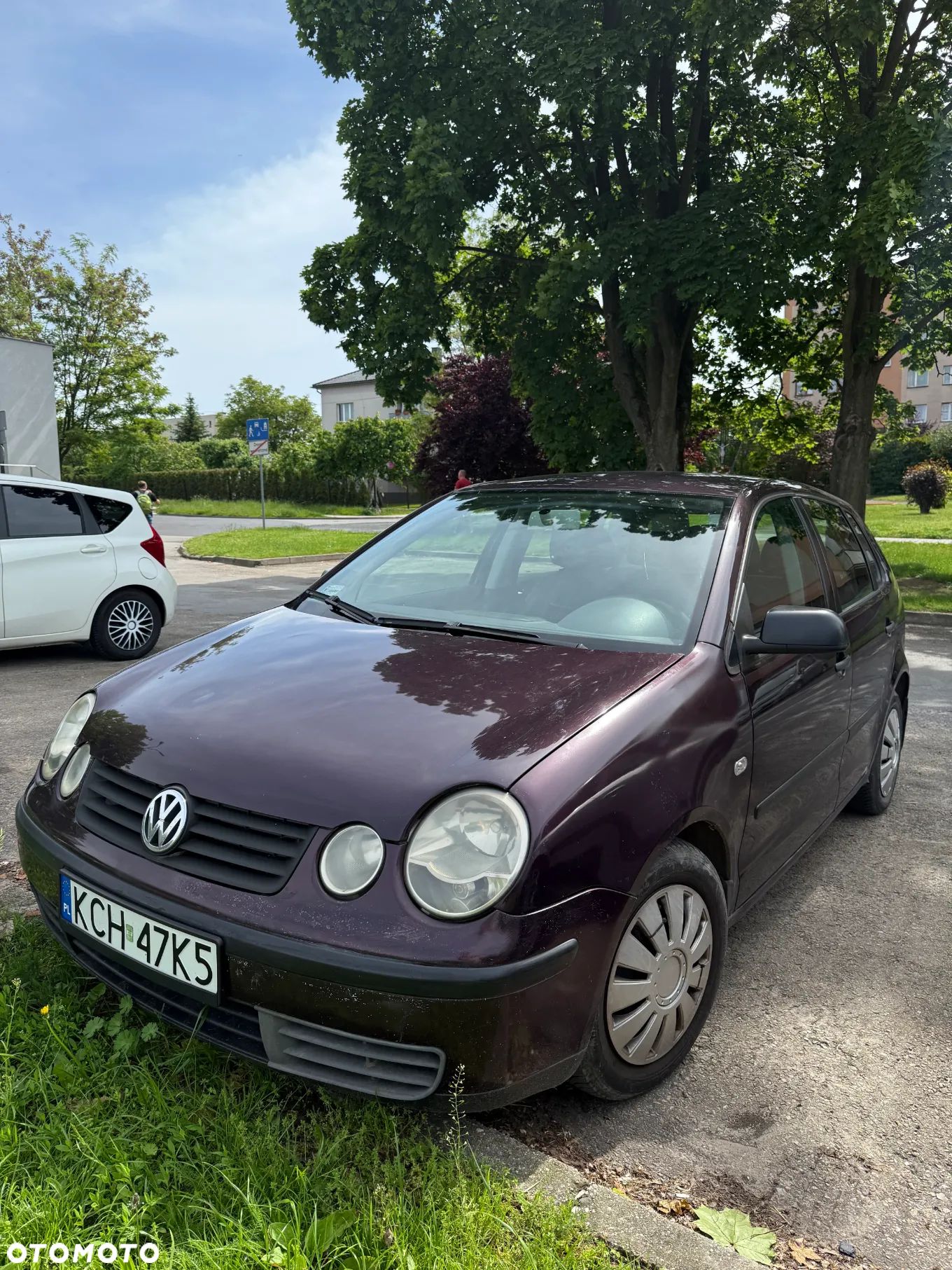 Volkswagen Polo - 1