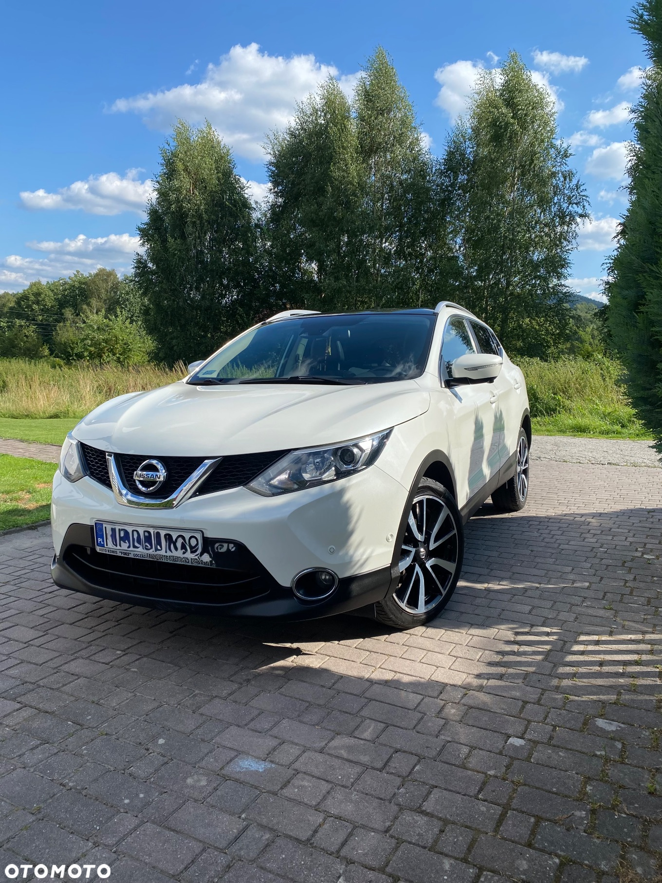 Nissan Qashqai 1.6 DCi 4x4 Tekna - 30