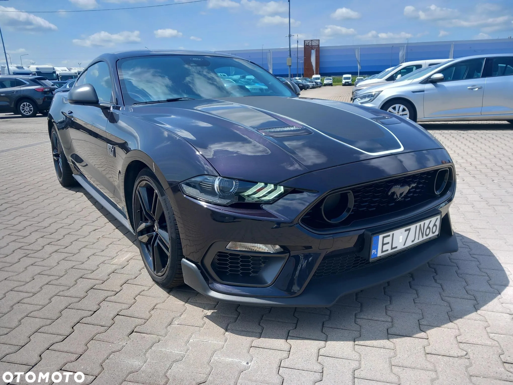 Ford Mustang 5.0 V8 Mach 1 - 2