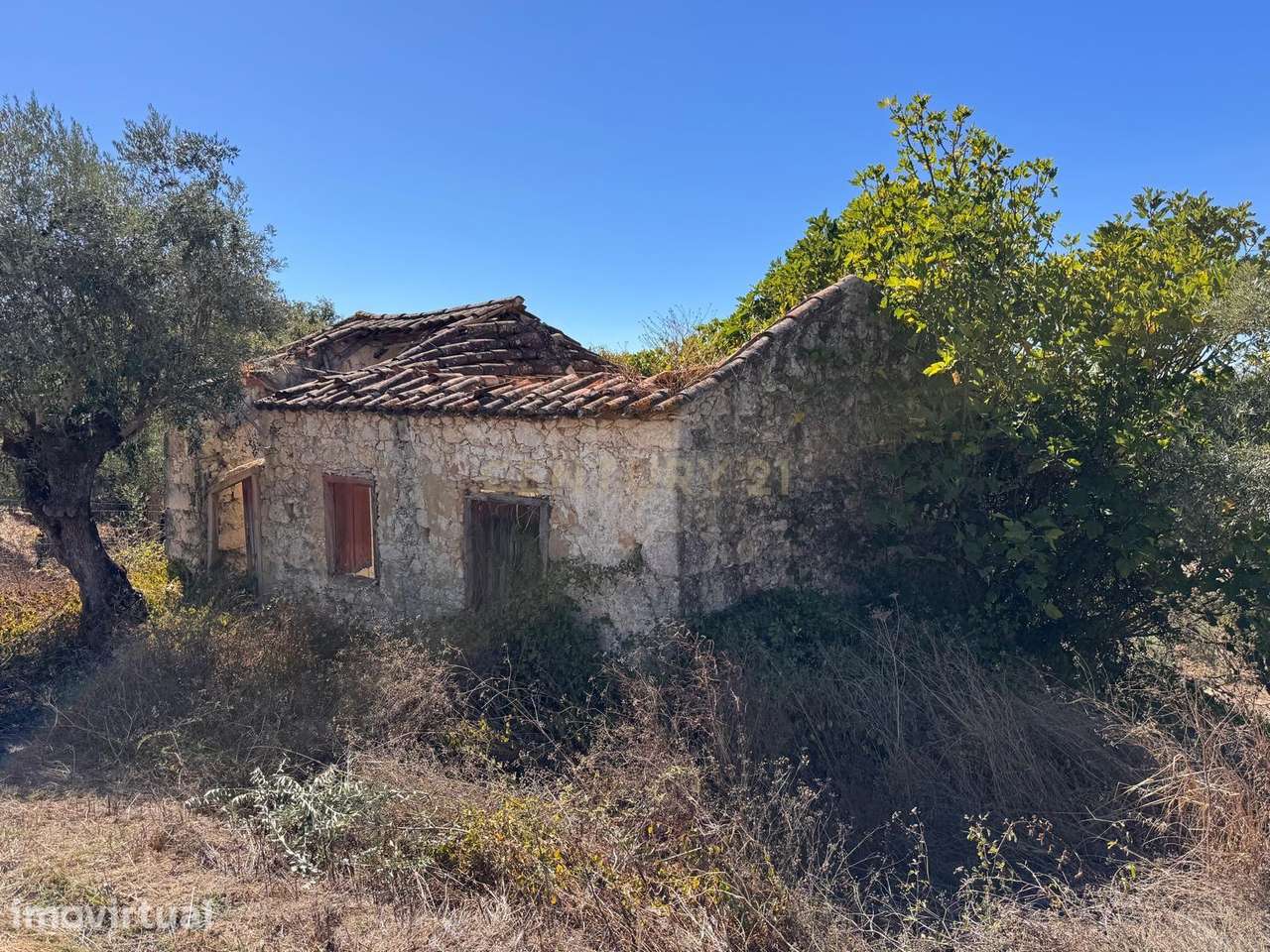 Casas antigas para Recuperação, com terreno em São Vicente do Paul, Sa - Grande imagem: 2/22