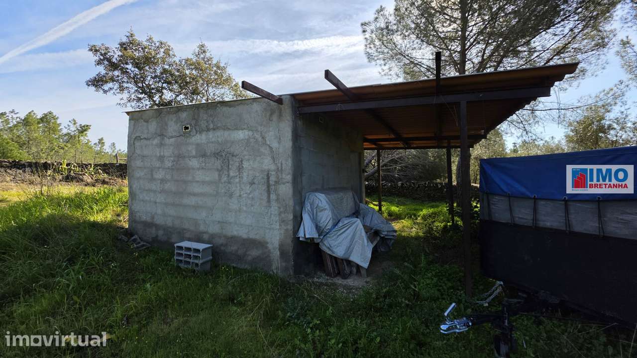 Quintinha em Benquerenças a 10 minutos de Castelo Branco - Grande imagem: 2/15