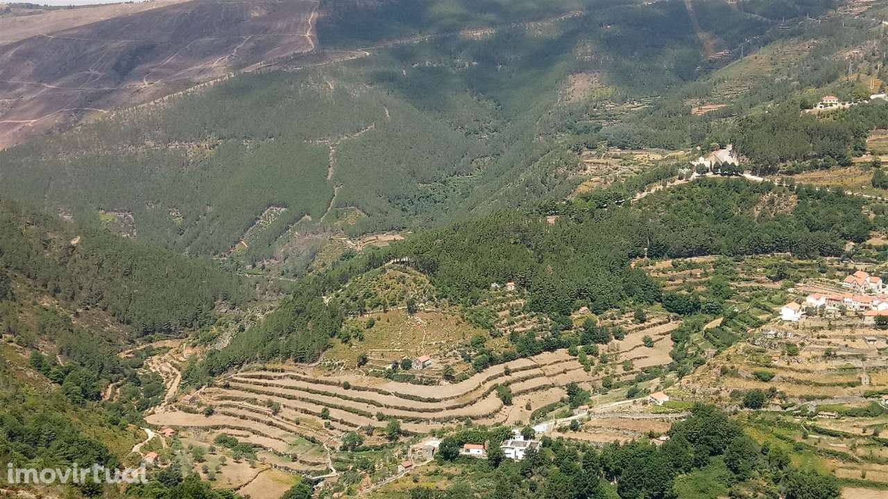 Quinta  Venda em Loriga,Seia - Grande imagem: 2/24