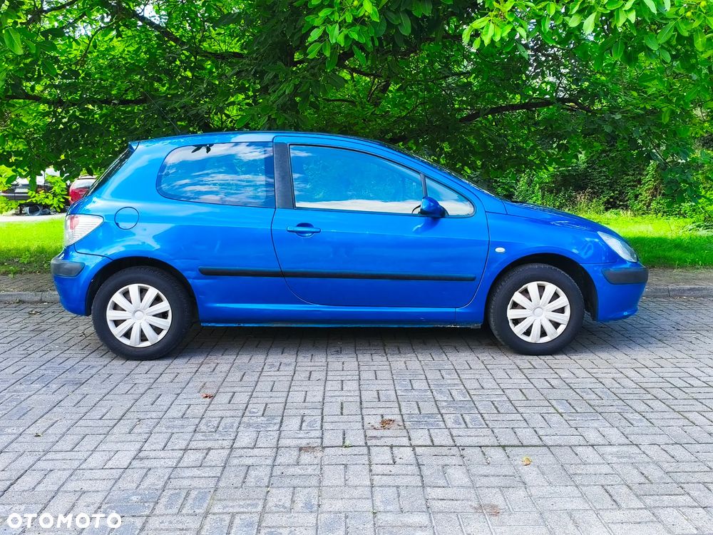 Peugeot 307 1.6 XS - 3