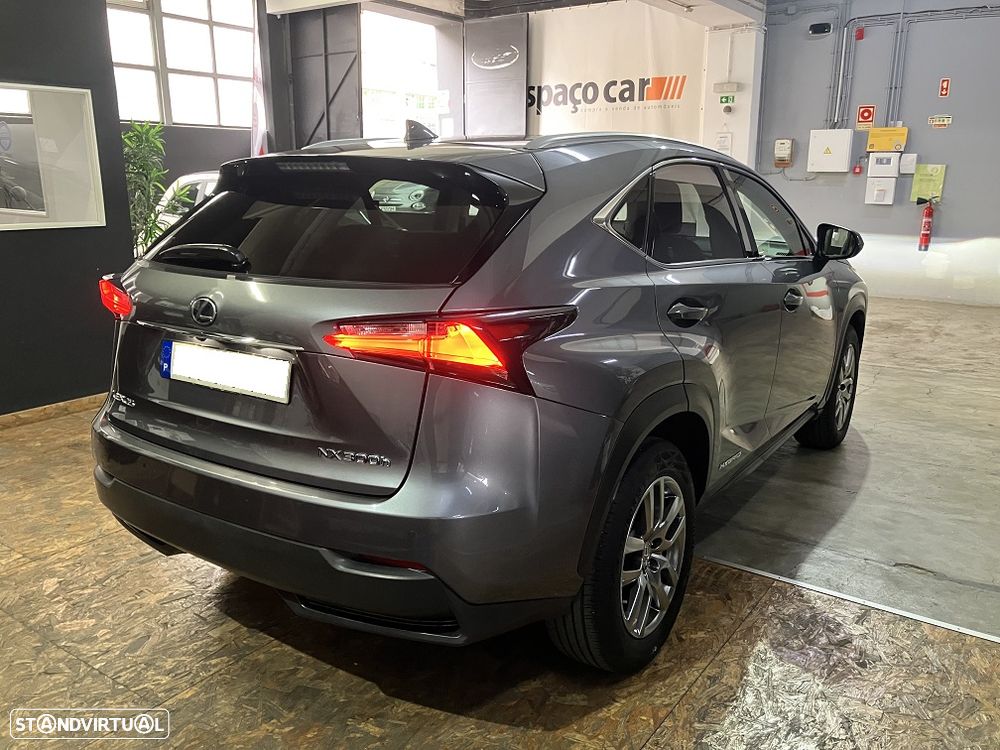 Lexus NX 300h Executive Plus - 13