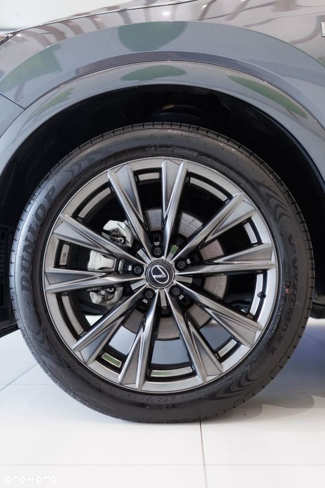 Lexus RX - 18